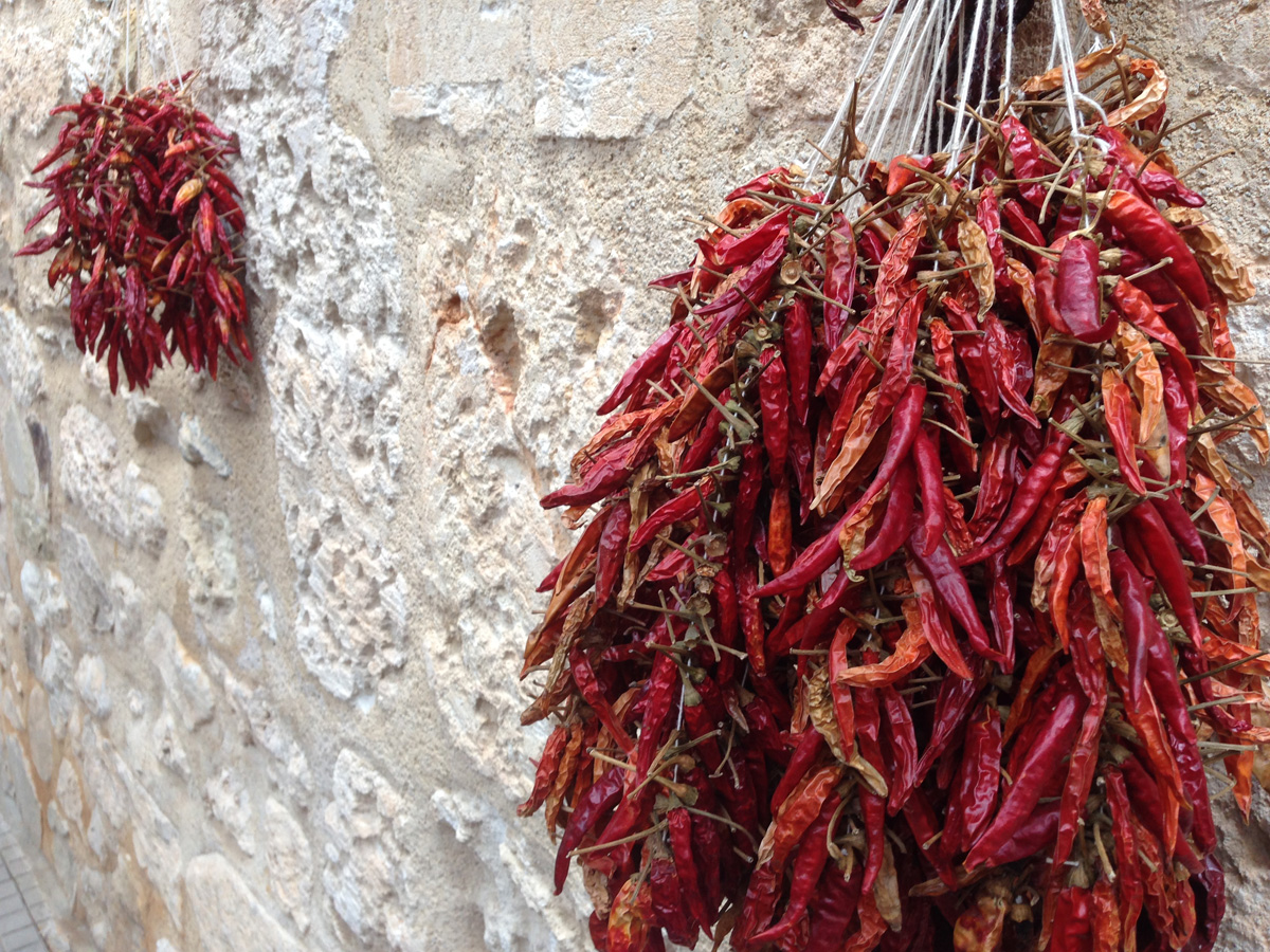 Getrocknete Paprika - cerdonegro